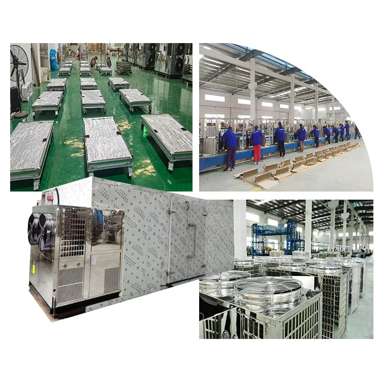 Aim Dry Machine Sweet Potato Dryer Machine Drying Fruits For