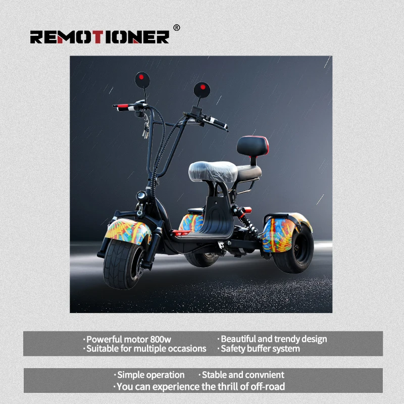 800W 48V 12A 20A Removable Battery Electric Tricycles 3 wheel Citycoco Electric Scooter