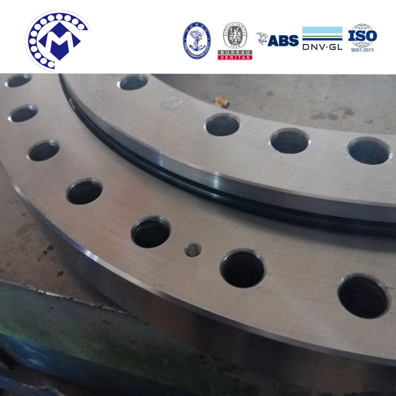 Hot Selling RKS.060.20.0414 Slewing Bearings Swing Bearing Without Gear