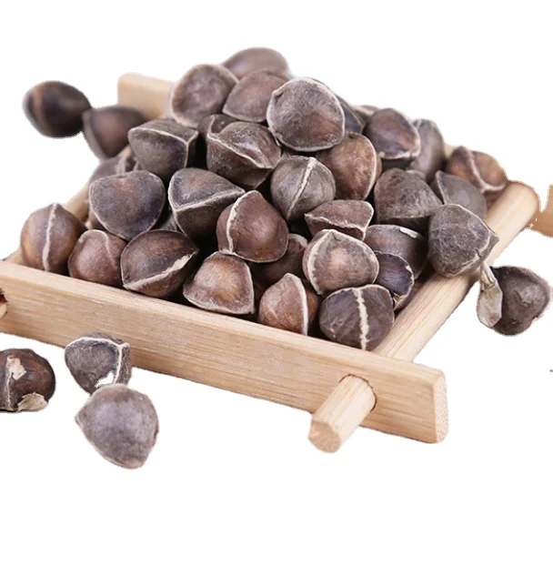 Natural big size dried raw loose Drumstick tree seeds for health foods