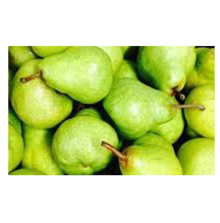  Южная Африка супер качество свежие PACKHAM TRIUMPH PEARS оптовая