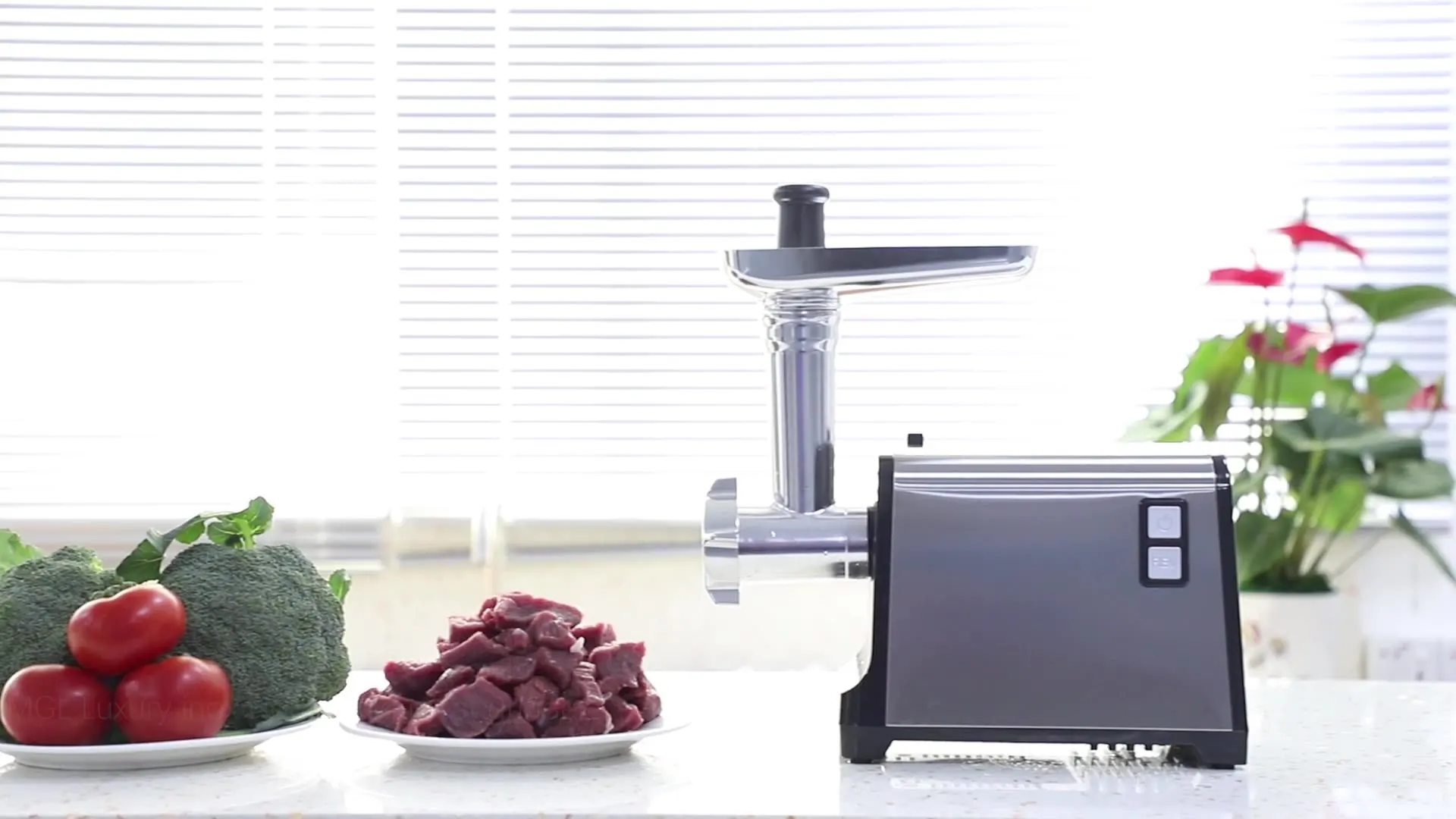 Multi-function 1200W Stainless Steel Blade Exchangeable 3 Cutting Plates Electric Meat Grinder