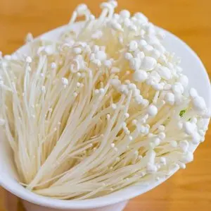 Enoki Mushroom Box China Brown MUSHROOMS Frozen with 12 Months Shelf Life Mycelium Spawn Mushroom Straw Fresh Raw Nutrients