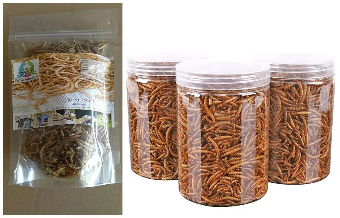 Wholesale Meal Worms Dried Poultry Feed Dried Mealworms