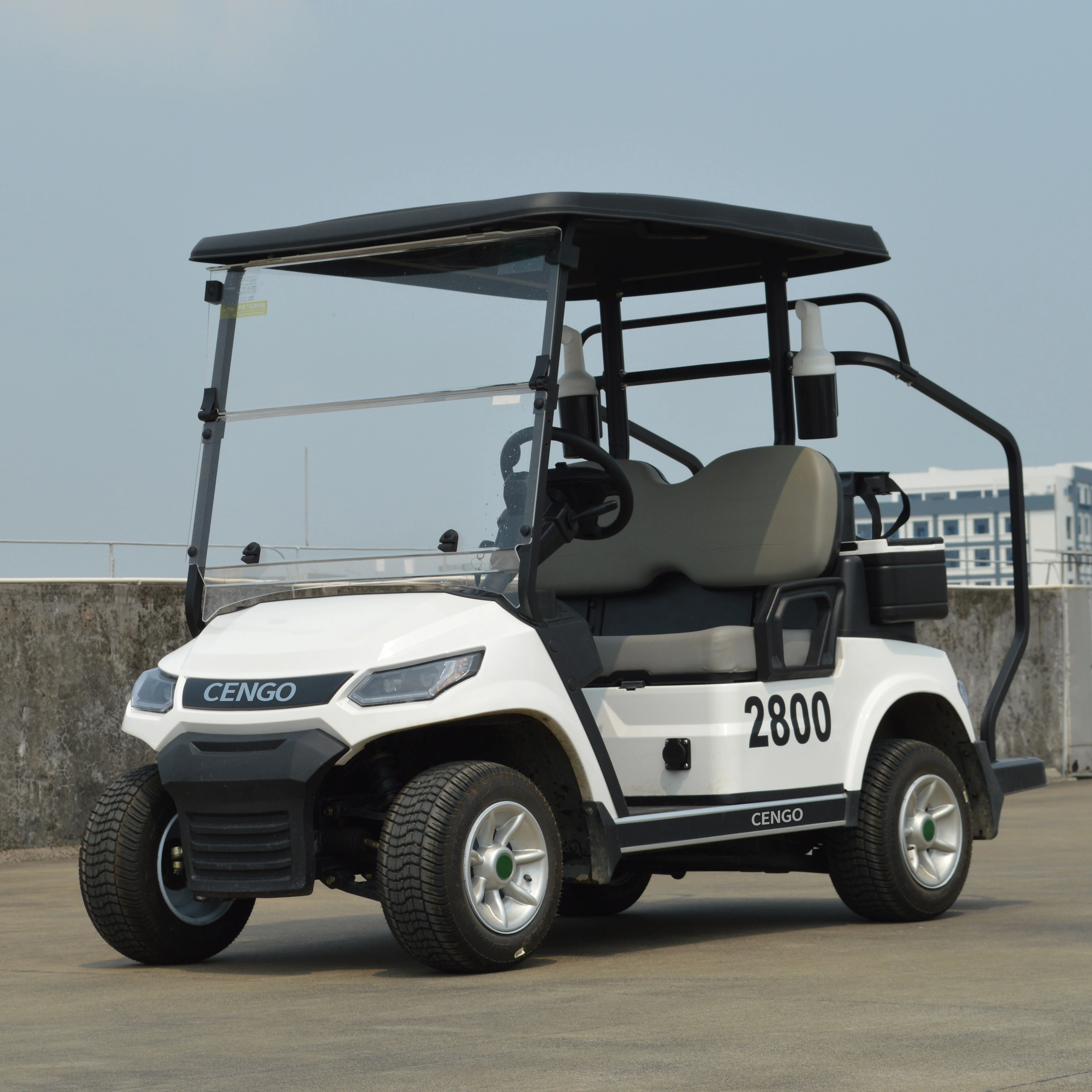 2 4 6 Seat Electric Lithium Battery Golf Cart Hunting Golf Buggy car with DOT EEC