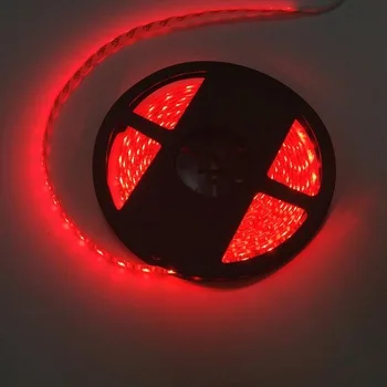 Colorful Round Two Wire 24v Led Neon Flex Rope Lights Outdoor Outdoor / Wedding / Party Christmas / Garden / Pub IP44 220 -20-40