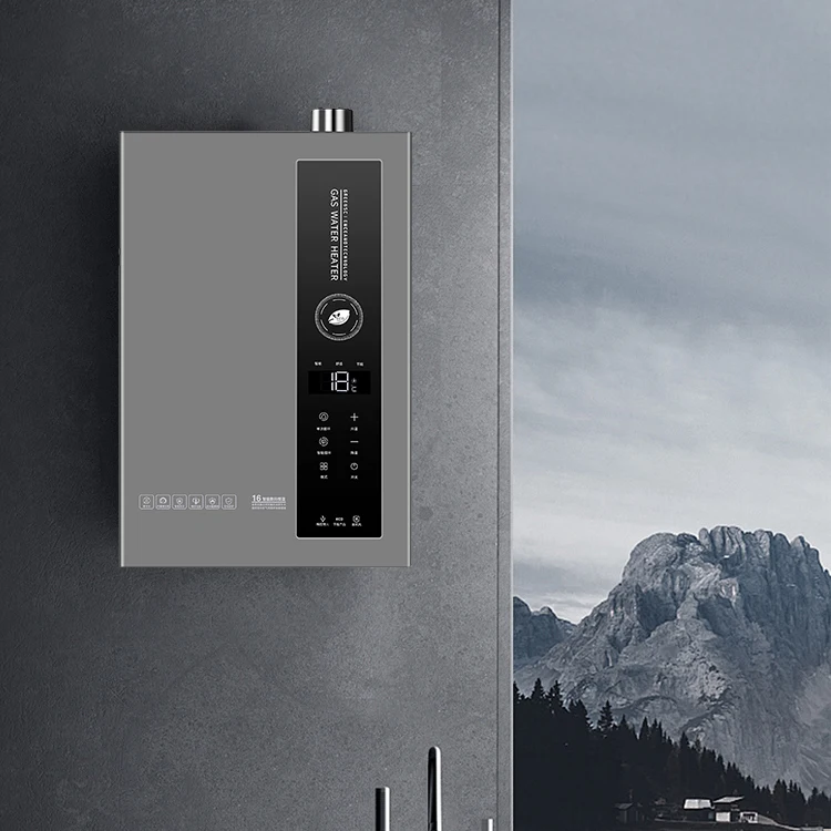 Intelligent Panel Switch Controls Thermostatic Gas Water Heater 16L 18L Strong Emission Type Hot Gas Water Heater