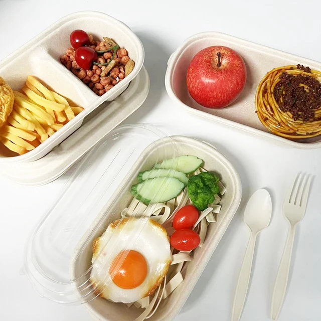 1000ml disposable bagasse lunch box takeaway sugarcane food tray rectangular container