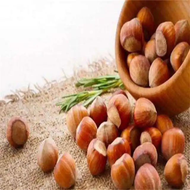Raw Hazelnut Roasted Hazelnut in Bulk Premium Quality