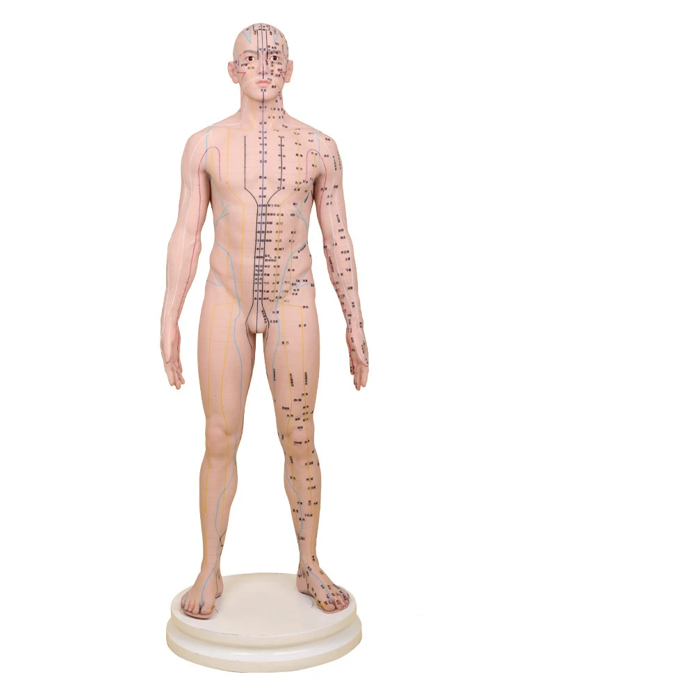 80CM High Quality Soft Silicone Acupuncture Training Model