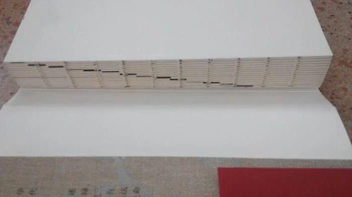 Автоматическая книжная швейная машина