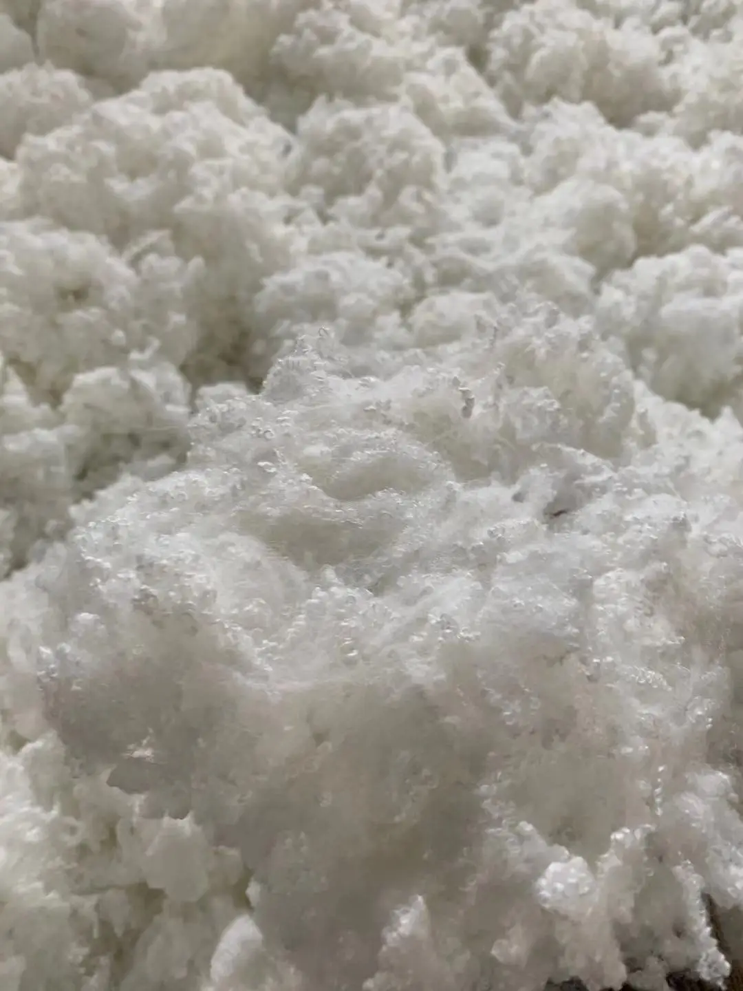 Highly Rebound 15D*64mm Polyester Staple Fiber Hcs Polyester Fiber for Pillows Toys Sofas Stuffing