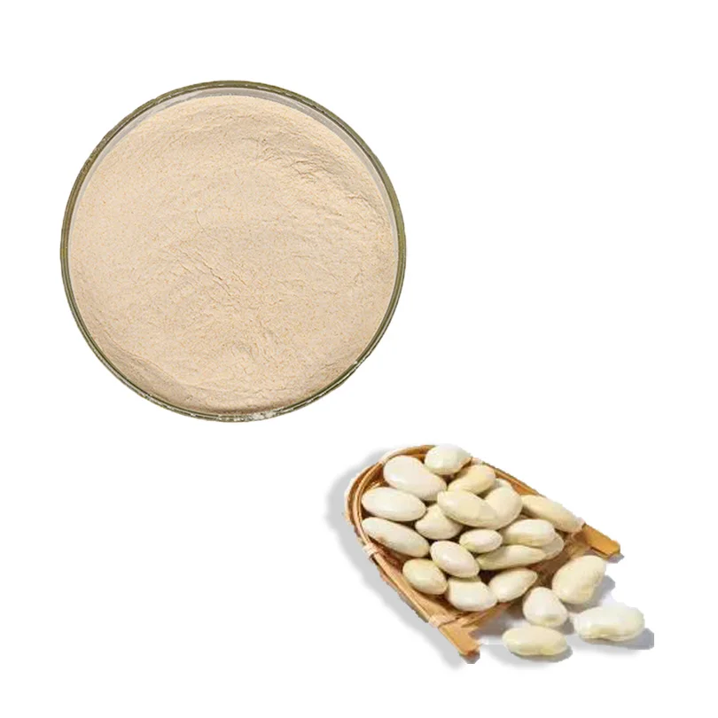 Bulk white kidney bean extract phaseolin 1%-2% phaseolin weight loss