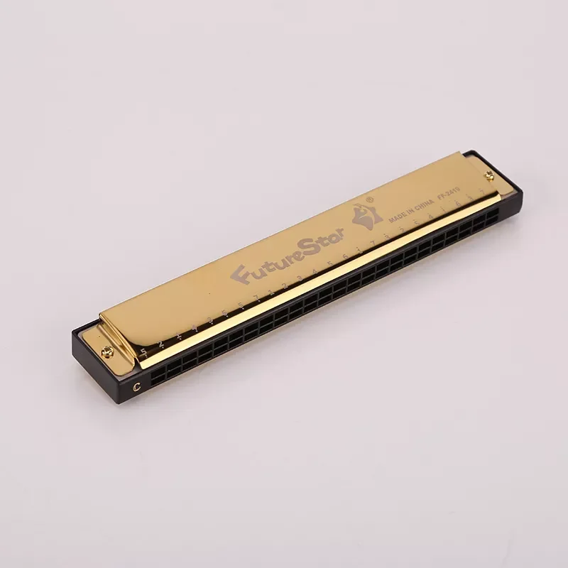 Factory Customized Wholesale Multifunctional High-quality C Tune 24-hole Metal Tremolo Harmonica