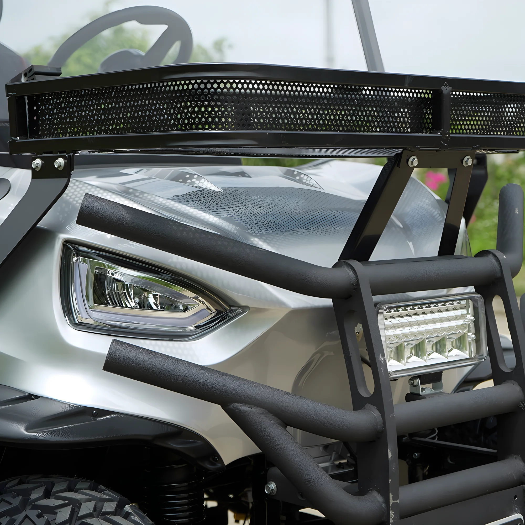 Fastest 24V Off-Road Electric Golf Cart with Lithium Battery 4-Passenger 72V and 48V Options for Ezgo Rxv Use