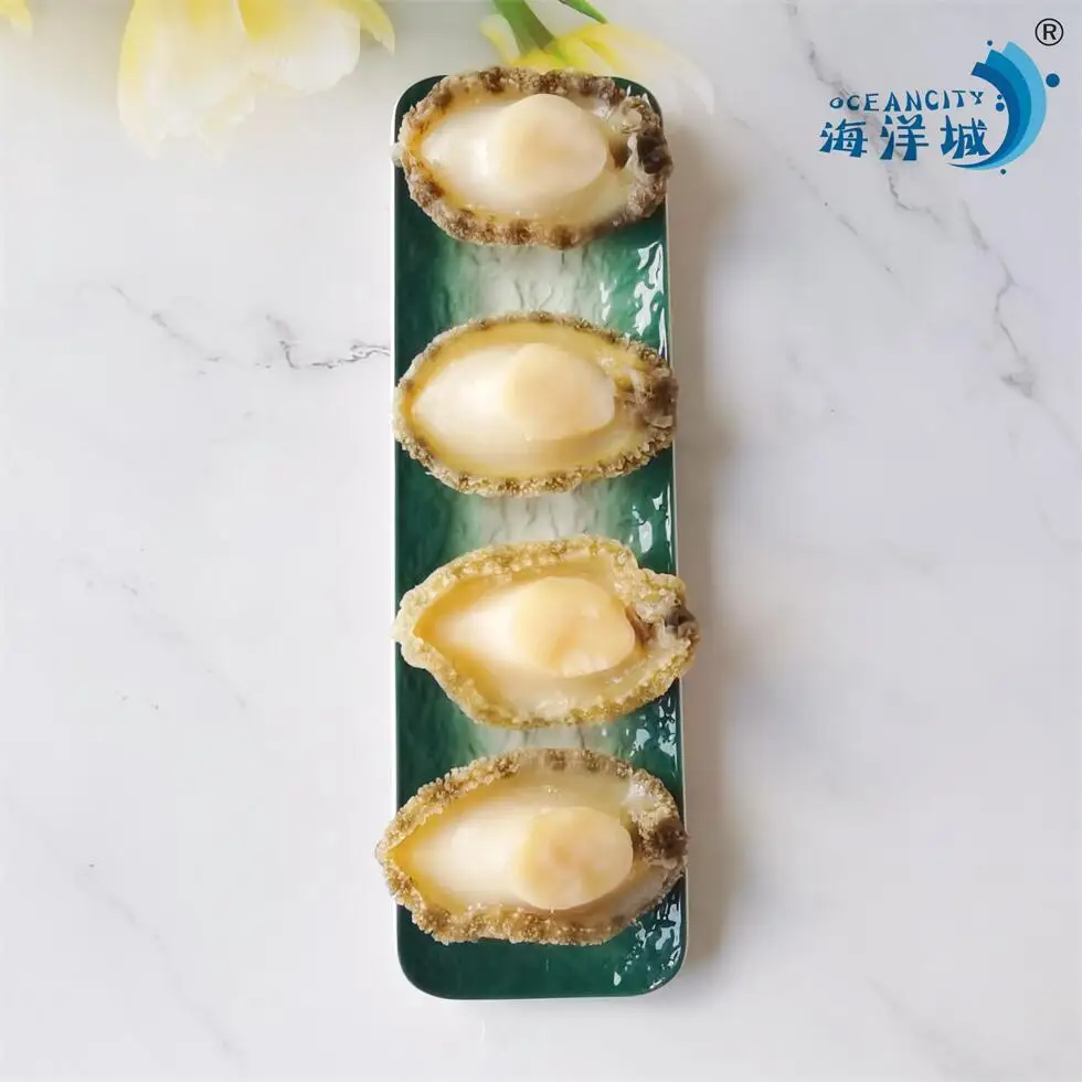 Wholesale High Quality Abalone Frozen Dried Abalone Chinese Suppliers  For Sale