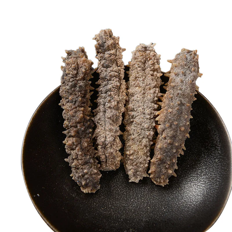 High Quality Wholesale Indonesia Sea Cucumber Dried For Sea Cucumber