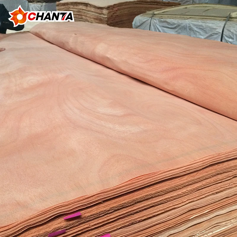 Hot selling interior door 5mm okoume oak bintangor plywood wood natural veneer from CHANTA factory