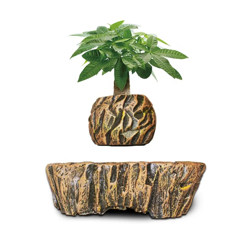 HCNT air bonsai Levitation bonsai pot Desktop decoration gift