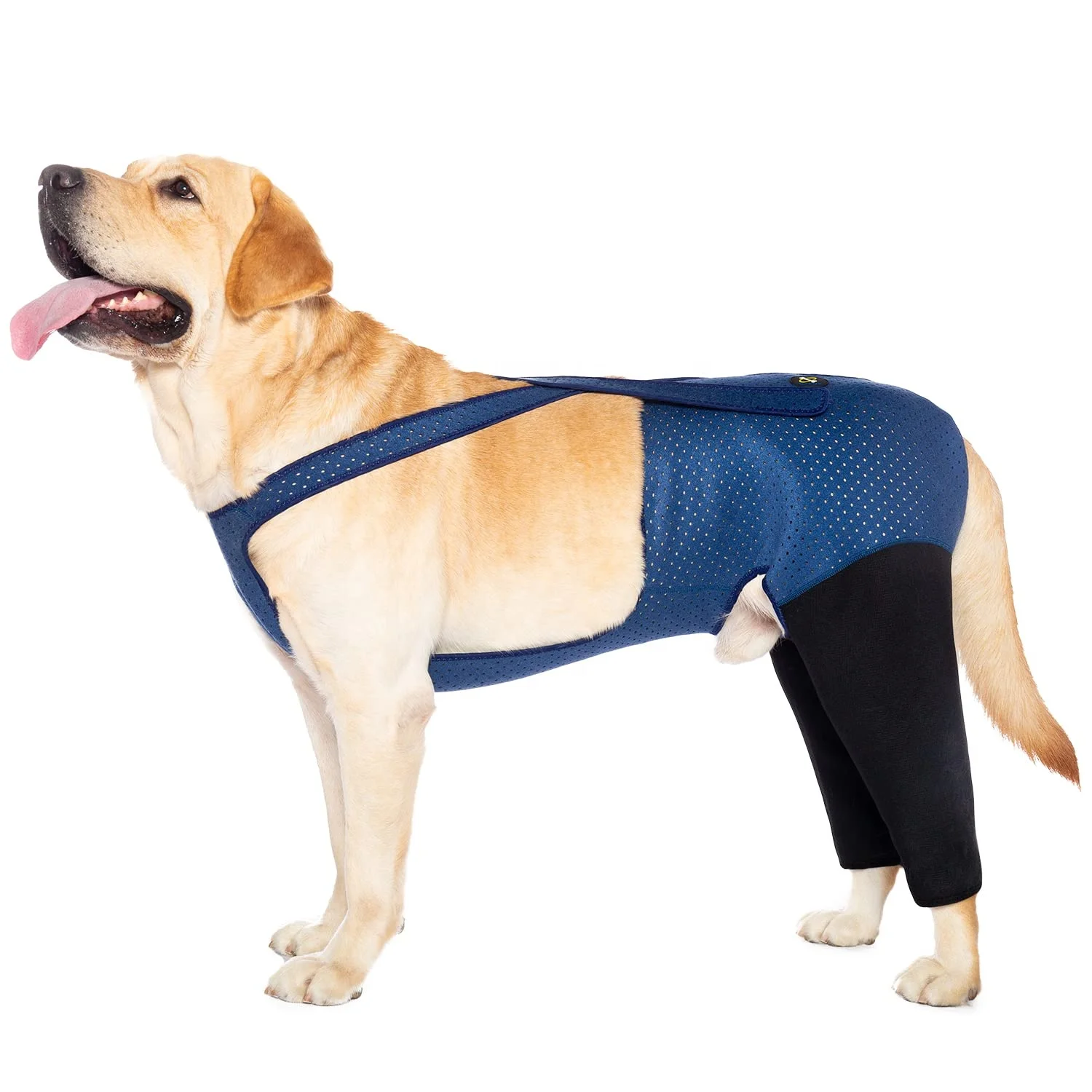 Dog Recovery Suit, Cone Collar Alternative, Abrasion Resistant Dog Recovery Rear Sleeves Washable 2.5mm Thick recovery suite