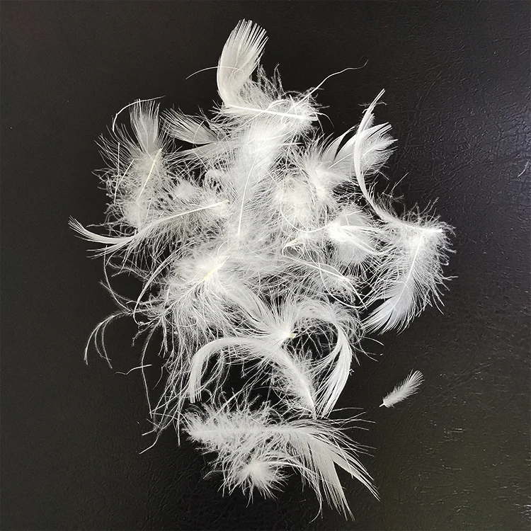 High quality washed duck feather duvet white brown &white duck feather buyer 2-4 cm duck feather white for furniture sofa