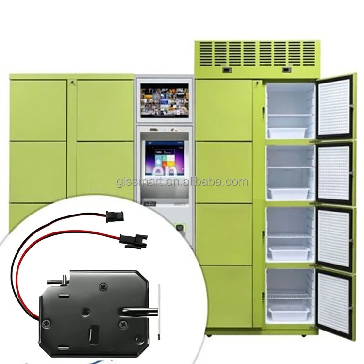 OEM ODM Factory Low Price Solenoid Express Parcel Locker Lock 24v Electrical Control Cabinet Lock 12v Dc Electromagnet Lock