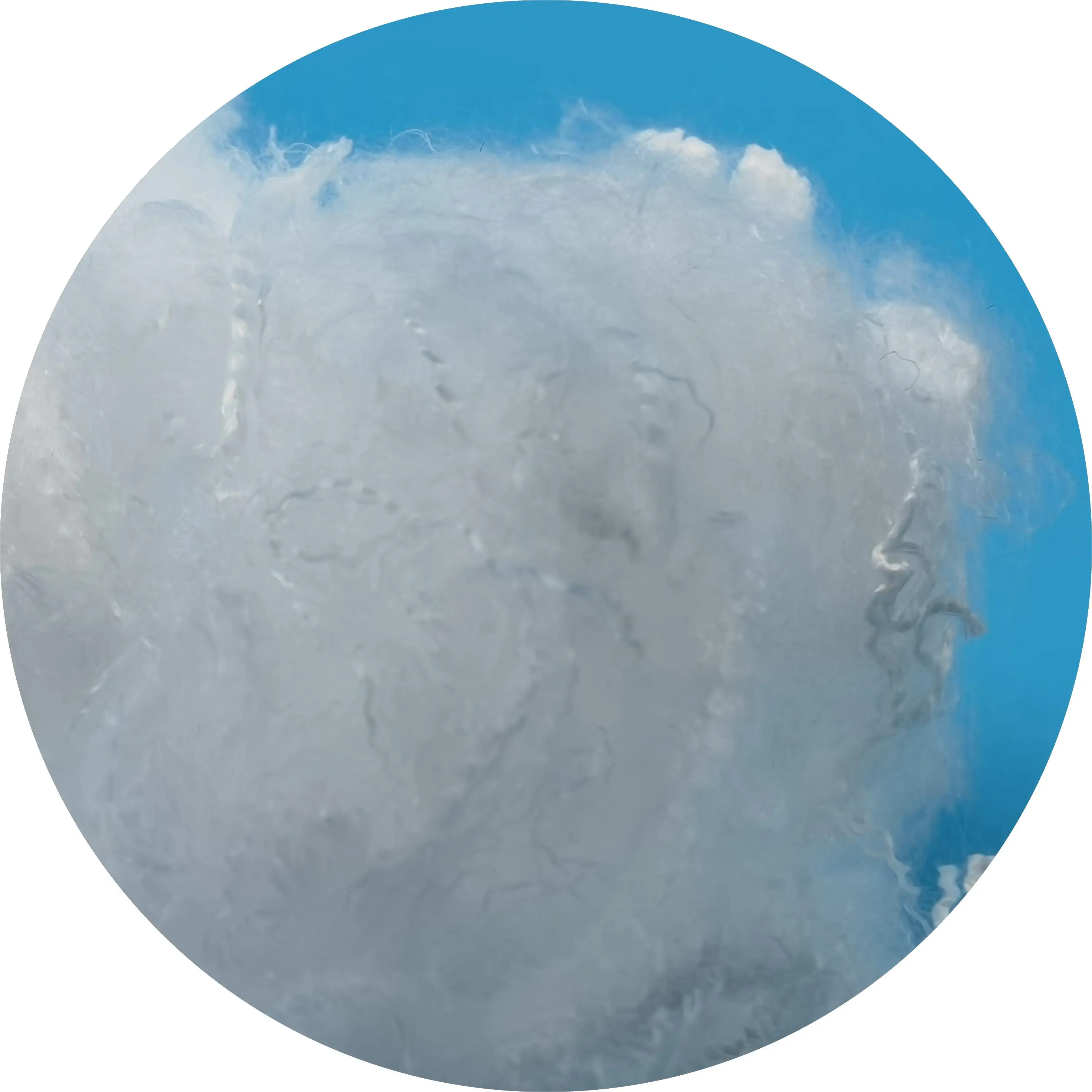 0.5D GRS Recycled Down Like Polyester Staple Fiber for Filling