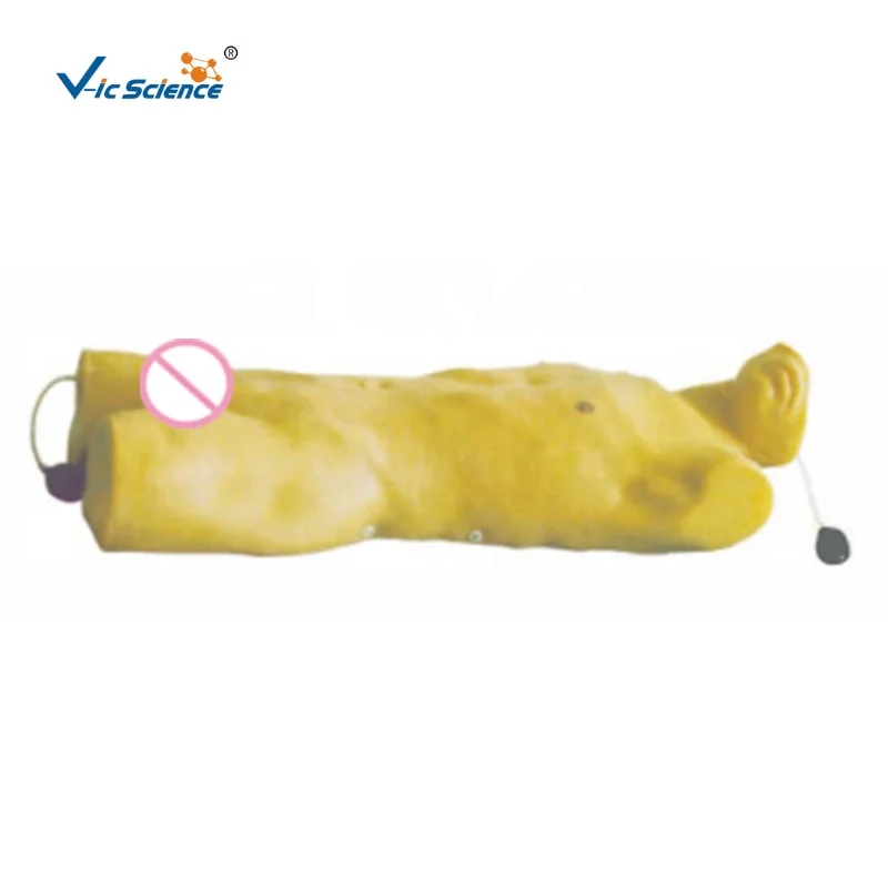 comprehensive surgical skill training model of closed thoracic drainage lying position soft texture