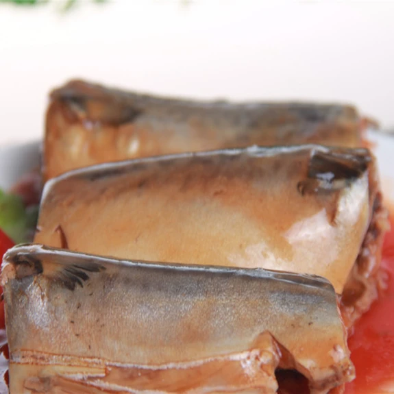 China Manufactory best canned mackerel brands with factory prices
