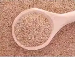 Top Quality Wholesale Price Psyllium Seeds Top Selling 100% Natural And Healthy Raw Food Material Psyllium Seeds For Sale