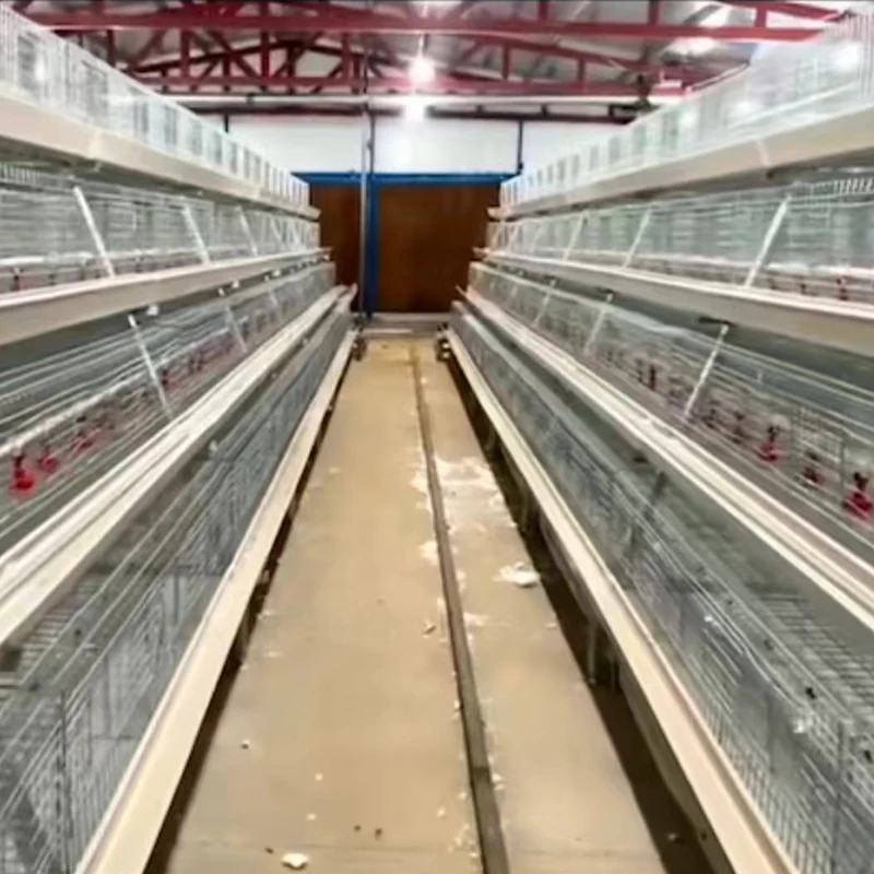 Fully Automatic A-Type Chicken Egg Layer Cages for Sale Premium Animal Cages for Chicken Rearing