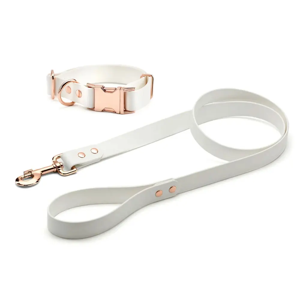 Wholesale Fashion Pet Product Custom Silicone PVC TPU Coated Fancy Waterproof Pet Collar And Leash