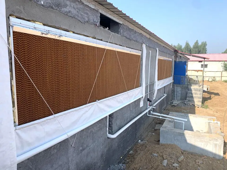 Chicken Farming House Honeycomb Evaporative Cooling Pad /wet Curtain For Poultry Farm