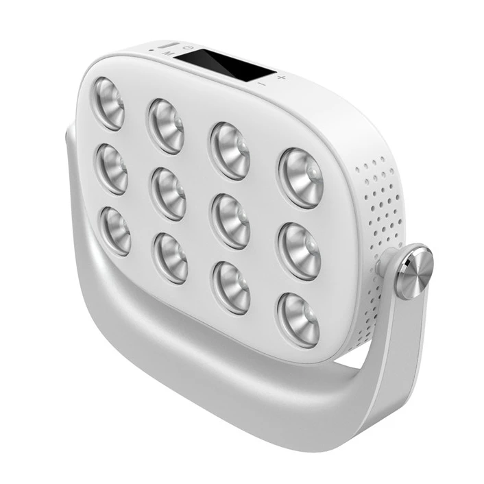 LED Facial Beauty Machine Near Infrared Red Light Therapy 660nm 850nm Wrinkle Remove Facial Treatment Device Neck Body Skin Care