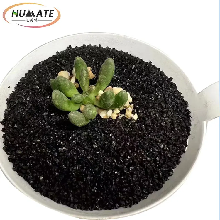 Органическое удобрение Ningxia Humate растение для производства высокой растворимости в воде натрия гумат водные