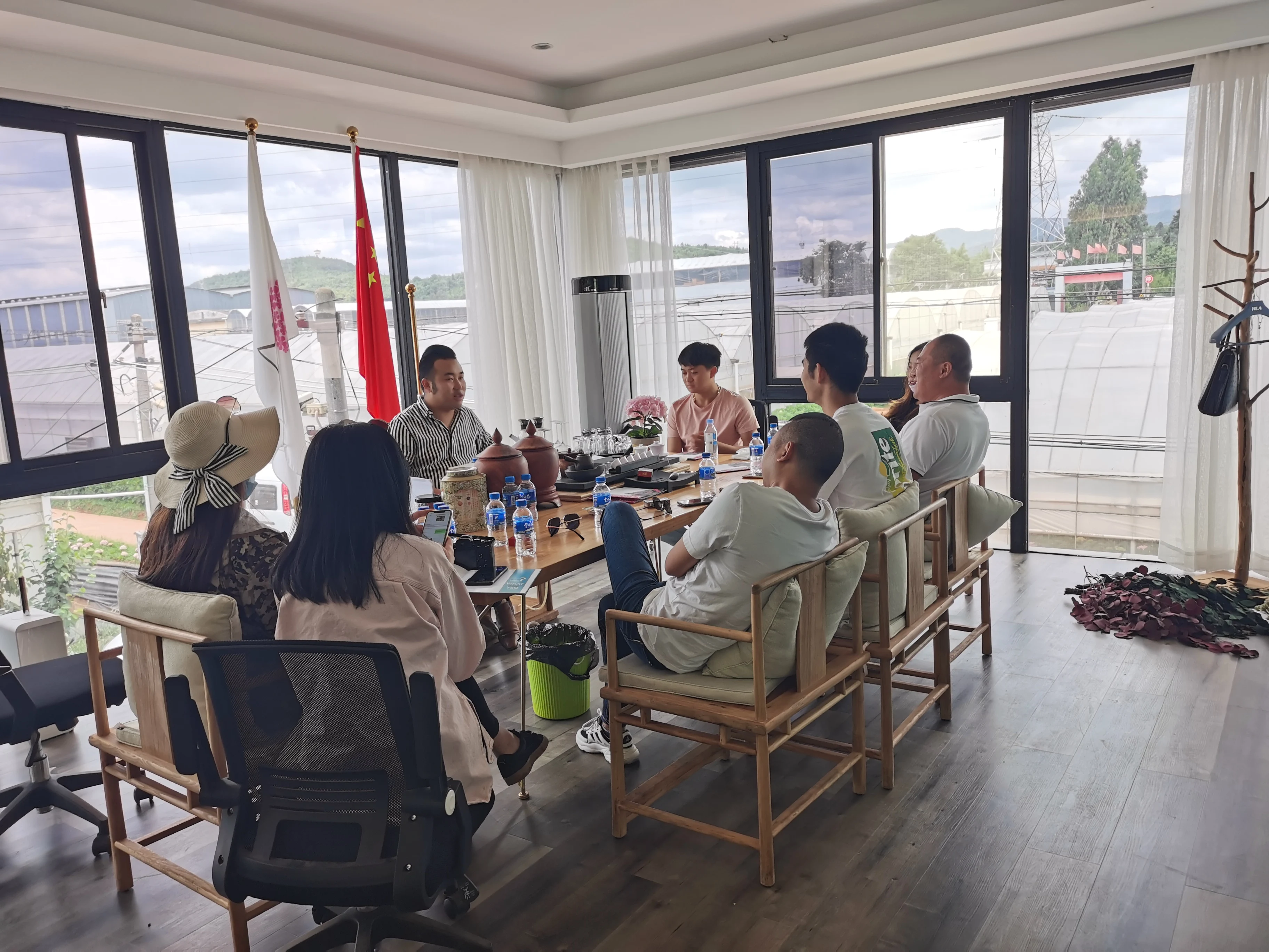 
real fresh flower high quality fresh cutting flowers Brushed African chrysanthemum 