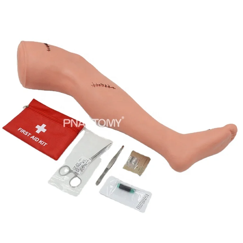 Хирургическая модель ножек, медицинское научное обучающее оборудование, манекен