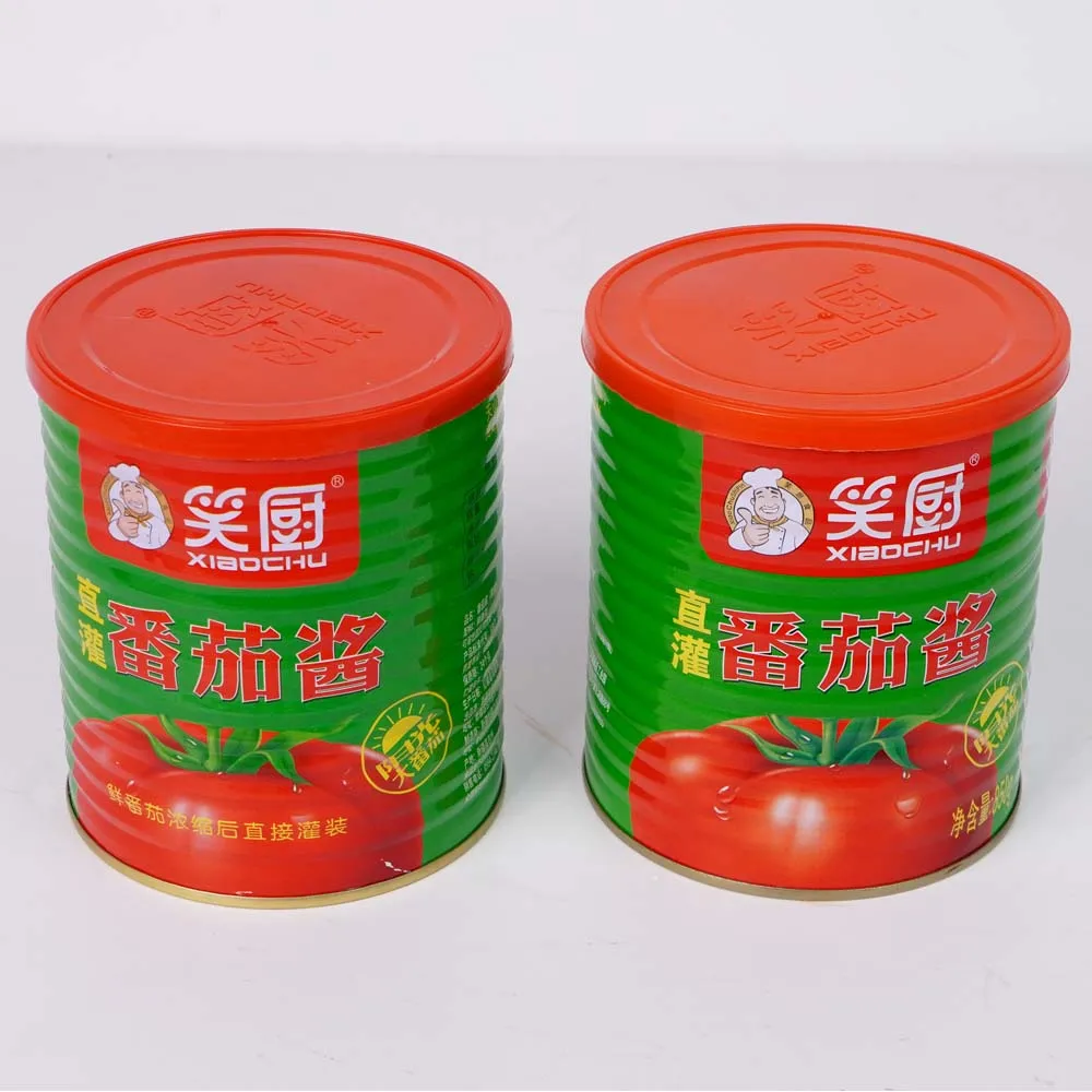 OEM factory sells well all year around Canned Tomato Paste easy open tomato pasta sauce 850g