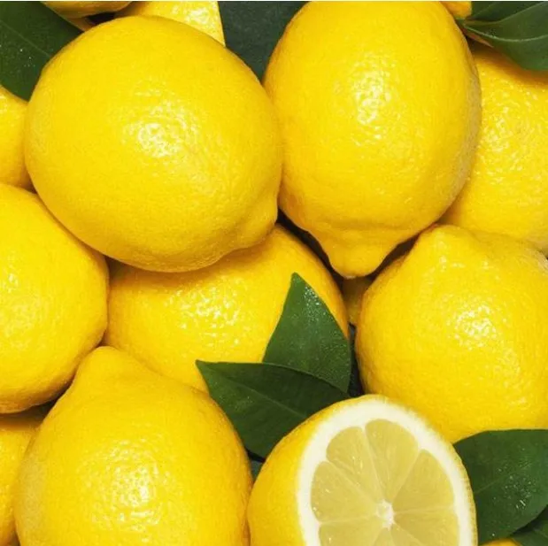 High quality fruit fresh yellow lemons healthy food top quality fruit lemon low price homegrown lemon