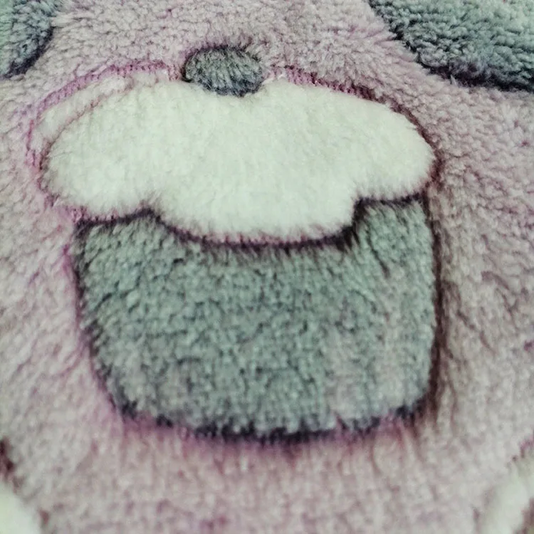 
Super soft double-side offset printing coral fleece fabric for baby blanket 