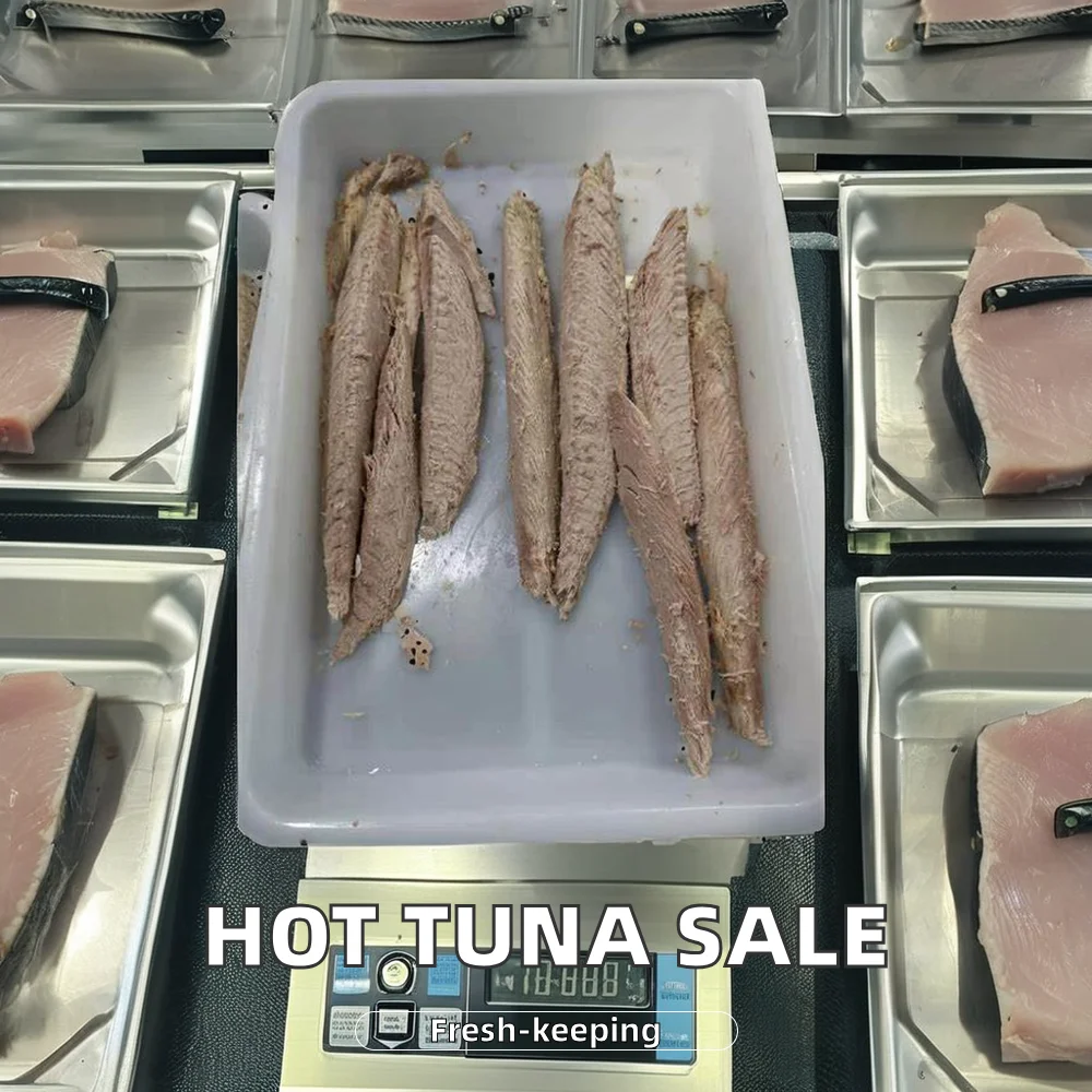 Cost - effective Nutritious Fresh Frozen seafood factory priceTuna Frozen seafood BQF 7.5kg Bonito for sale
