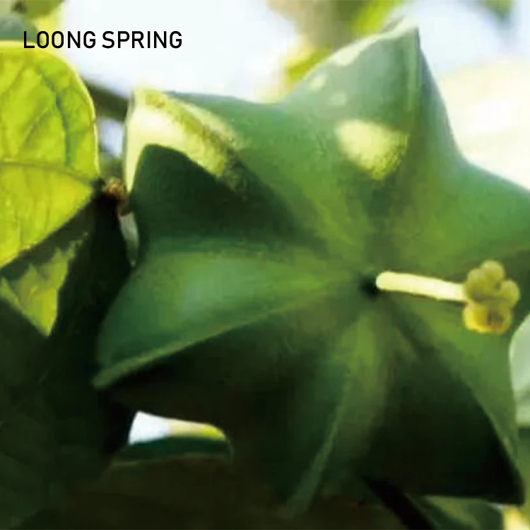 
Organic Sancha Inchi Oil for Strengthen Cardiovascular Vessels 