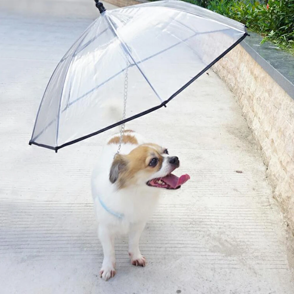 2021 New Product Custom Logo Printing Transparent Pet Umbrella Transparent Umbrella for Dog