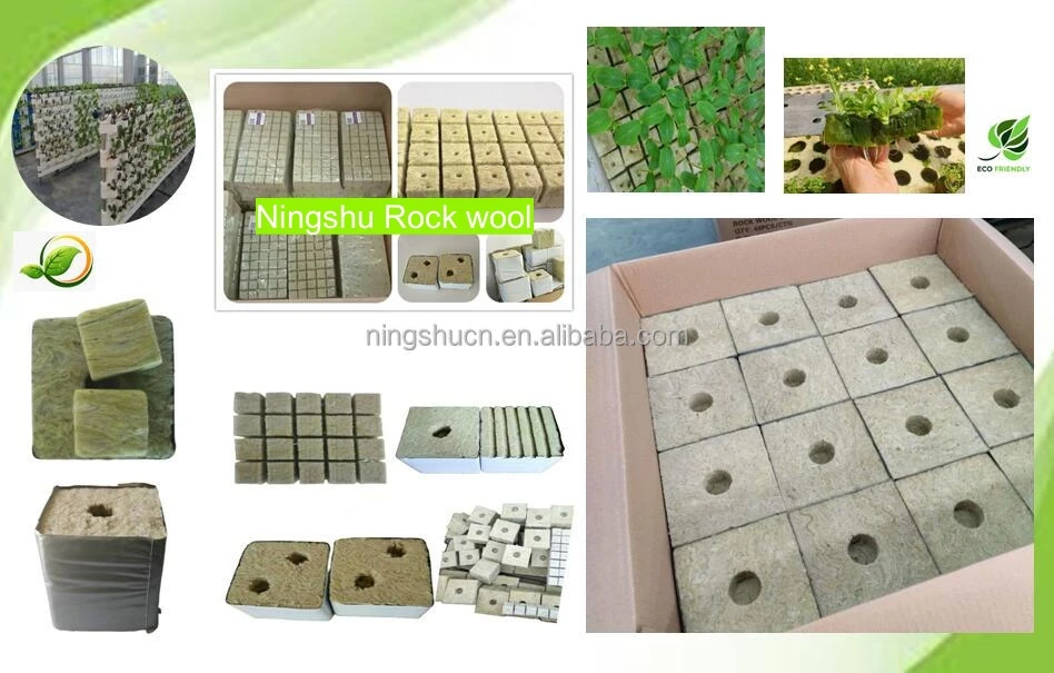 rock wool cubes.jpg