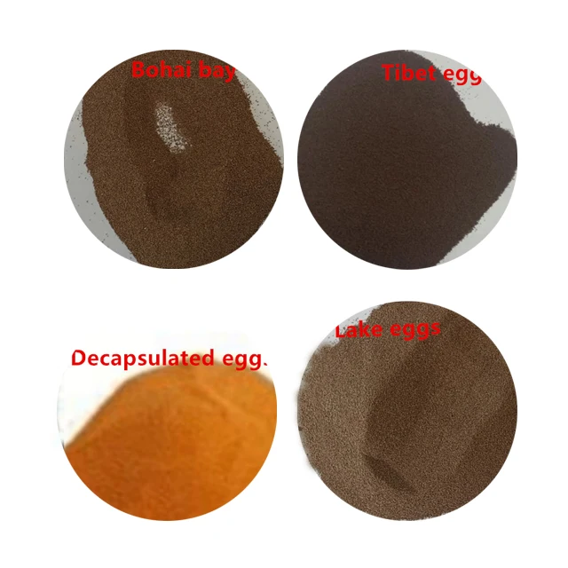 High Protein High Hatch Rate Fish Food Pet Supplies Artemia Brine Shrimp Eggs Fish Feed can be customized