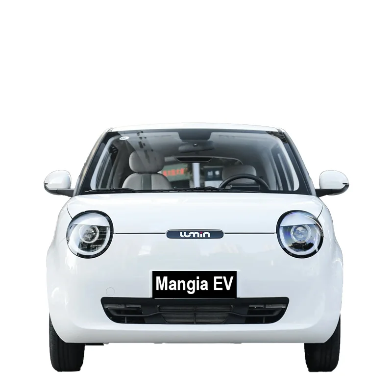 2024 Changan Lumin Новый энергетический автомобиль маленький взрослый 3 двери 4 сиденья готов к продаже новый производитель автомобилей в наличии прямые продажи низкая цена