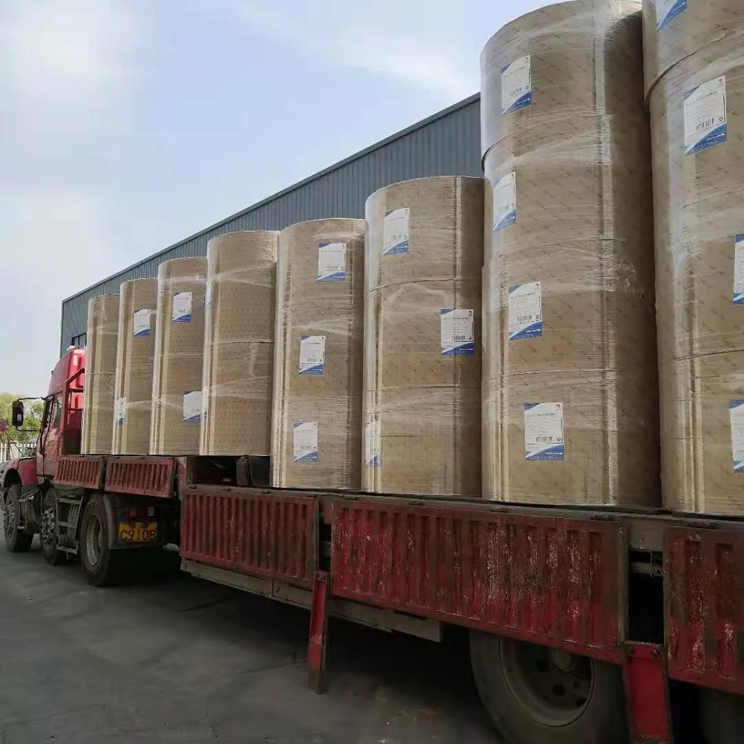 disposable wholesale waterproof pe coated custom fan roll food and beverage raw material