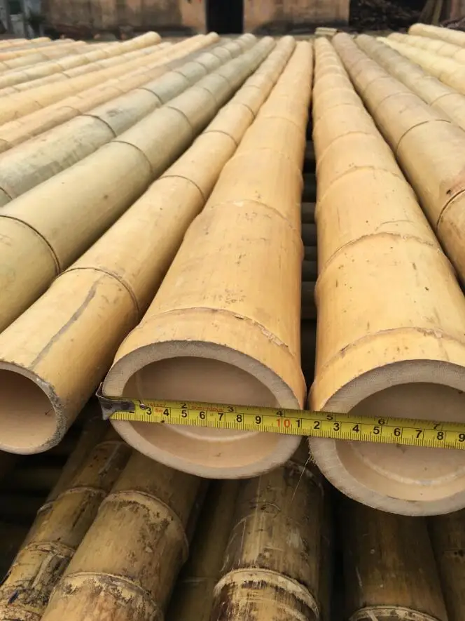 Moso bamboo poles for construction