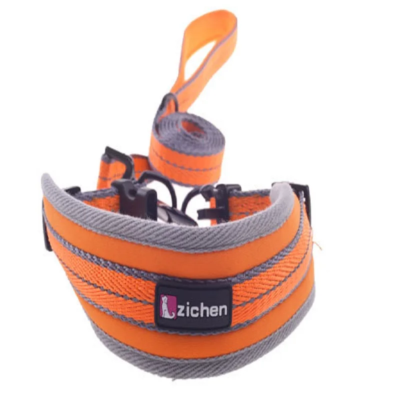 Pet leash waterproof nylon dog collar with dog chain