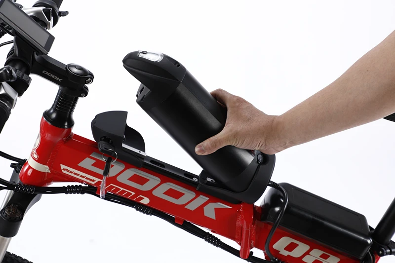 OEM Customized 750W Electric Mountain Bike Carbon Fibre Frame Fat Tire E-Bike for Off-Road Dirt Riding Electric Cycle on Sale